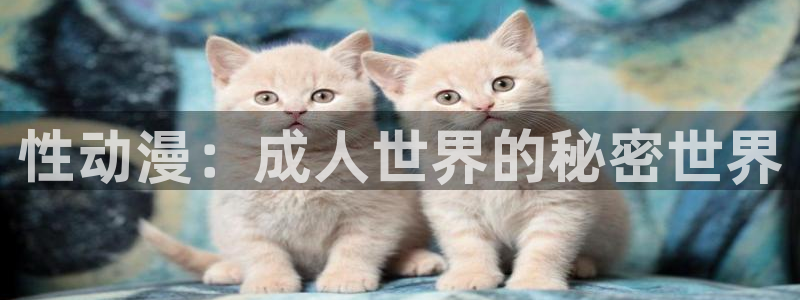 moefun动漫：性动漫：成人世界的秘密世界