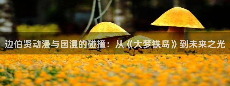 阿新动漫：边伯贤动漫与国漫的碰撞：从《大梦铁岛》到未来之光