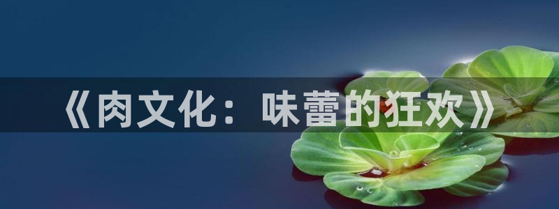 zzzfun动漫动画：《肉文化：味蕾的狂欢》